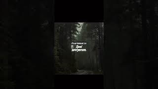 Massive Attack - Angel (radio edit) #music #lyrics #ceviri #youtube #lycris