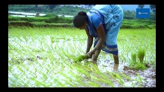 Solar Power lighting up lives| How are solar power changing lives of Rural India.