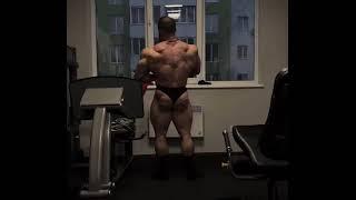 Nice back muscles of big muscle bull