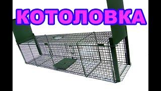 Котоловка. | Принцип работы кошколовки