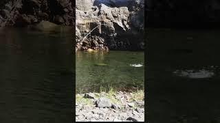 SUPER SWEET DRY FLY EAT!