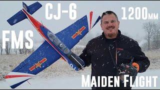 FMS - CJ-6 - 1200mm - Maiden Flight