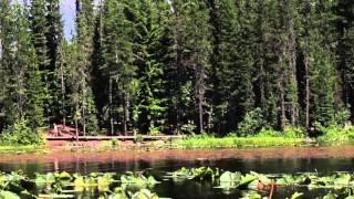 Exploring Lakes in Clackamas County