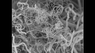 Diamonds from the sky’ approach turns CO2 into valuable products