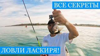СЕКРЕТЫ ловили МОРСКОГО КАРАСЯ!! - Теперь точно не останешься без рыбы! Проверено профессионалами!)