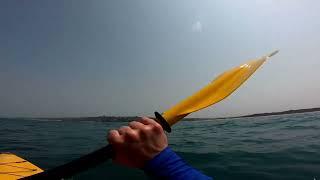 WHALE FANCY MEETING YOU HERE: Kayaker's Incredible Close Encounter With Whale Mum And Her Calf