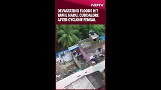 Several Houses Inundated By Floodwaters In Puducherry Following Cyclone Fengal