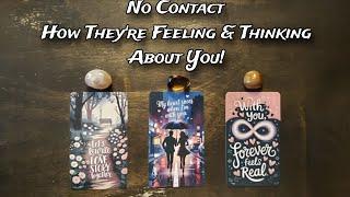  No Contact |  How Are They Feeling & Thinking About You? PICK A CARD LOVE READING