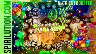 Nutrient Absorption Booster (Binaural Beats Healing Frequency Meditation Music)