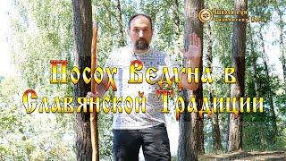 Посох Ведуна в Славянской Традиции. [Ведзнич]