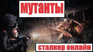 топ самых сильных мутантов сталкер онлайн|stalker online| все зоны повреждений|гайд