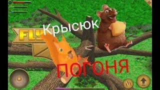 Симулятор белки! Начал жыть как белка!