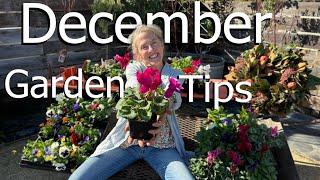 December Garden Tips and Tricks #gardening #gardenadvice #gardentips