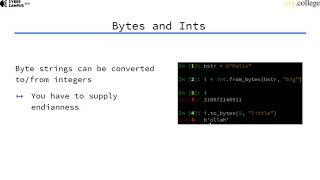 Python for Bits and Bytes