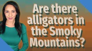 Are there alligators in the Smoky Mountains?