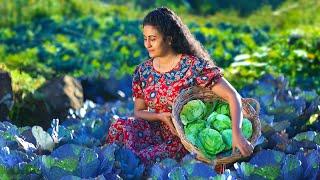 Cabbages!  for chicken kottu potato cheese rolls, pineapple salad & more!