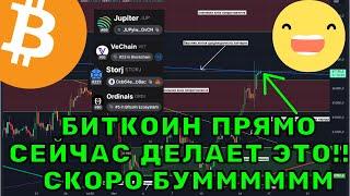 Что происходит с Биткоином прямо сейчас и почему Альткоины следующие?