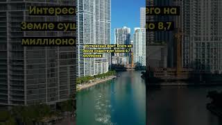 Интересный факт: количество животных на Земле #facts