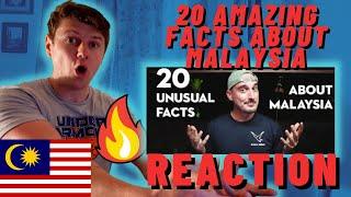 IRISH MAN REACTS to 20 AMAZING FACTS ABOUT MALAYSIA