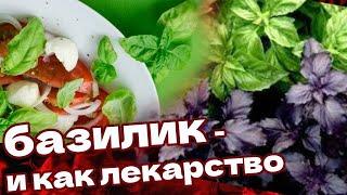 В нем Столько ПОЛЬЗЫ! БАЗИЛИК - и лечит и блюда дополняет изыском