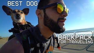 best dog backpack carrier for traveling and hiking - K9 Sports Sack review