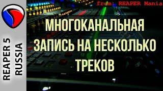 Многоканальная запись на несколько треков - Запись в REAPER