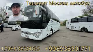 Узбекистан Москва автобус ️tashkent moskva avtobus ️