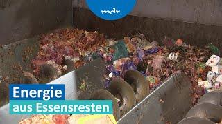 Für Biogasanlage: Essensreste werden zu Dünger und Biogas | MDR um Zwei | MDR