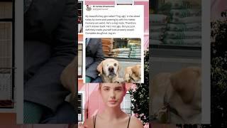 Owner Claps Back After Stranger Calls His One-Eyed Dog Ugly 