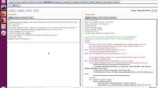 Introduction to Burp-Suite's Repeater Tool