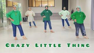 Crazy Little Thing || Line Dance || Beginner || Choreo:Laura Rittenhouse (AUS) - November 2023