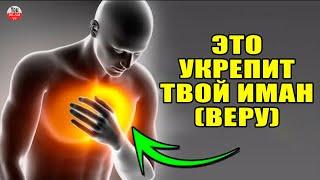 5 СОВЕТОВ ОТ ПРОРОКА МУХАММАДА,КАК УКРЕПИТЬ ВАШ ИМАН (ВЕРУ)! СУННА ПРОРОКА \ КАК УКРЕПИТЬ СВОЙ ИМАН?