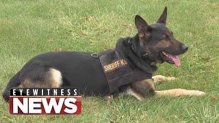 WTVO Eyewitness News for December 4th, 2023 (Full Broadcast)