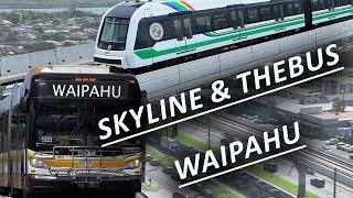 Skyline x TheBus: Waipahu