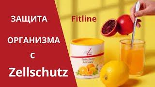 Защита организма с Zellschutz от  FitLine | Цельшутц Антиоксидант