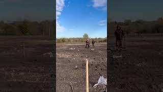 Закладываем промышленный сад под мотобур #сад #садоводство #бизнес #мотобур