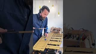 What happens when Make Noise Echophon meets a vibraphone (Track by Hiroto Uyama)