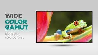 Hisense TV Tips: Wide Color Gamut