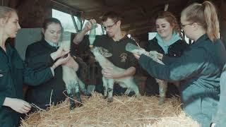 Your passion brought to life - Animal Science and Animal Management