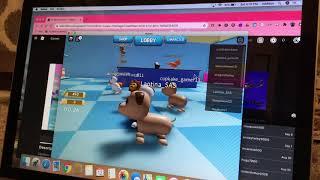 Roblox Pet Escape 2