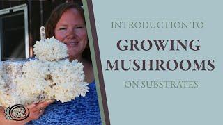 Introduction to Growing Mushrooms on Substrates