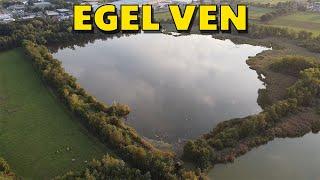 Egel ven, Valkenswaard | The Netherlands