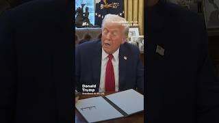 Trump: Musk no puede hacer nada sin aprobación - N+ #Shorts