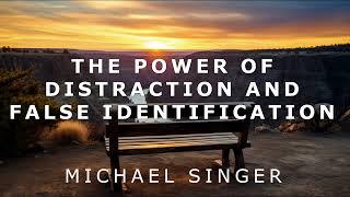 Michael Singer - The Power of Distraction and False Identification