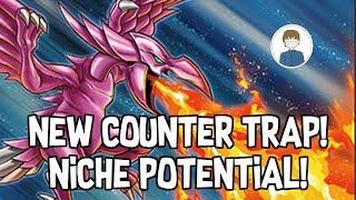 NEW COUNTER TRAP! REAL POTENTIAL! Yu-Gi-Oh!