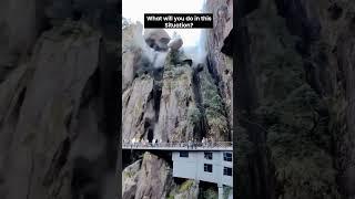 Mountain Collapse Destroys Observation Deck! #shorts