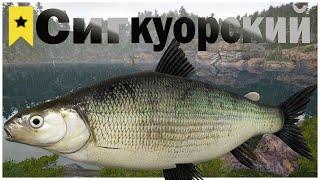 Трофей Сиг куорский оз. Куори