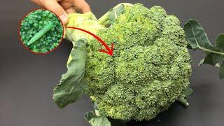 Washing Broccoli with Water Only is WRONG. One More Step to Clean And Safe!