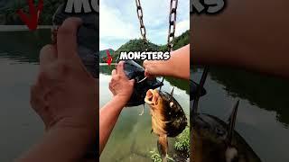They Hang Fish Heads to Catch Even Bigger Fish! #fishing #fish