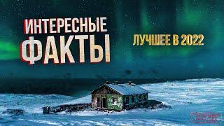 Интересные факты: лучшие выпуски 2022 года. Крайний Север. Россия. Коренные народы. Жизнь на Севере